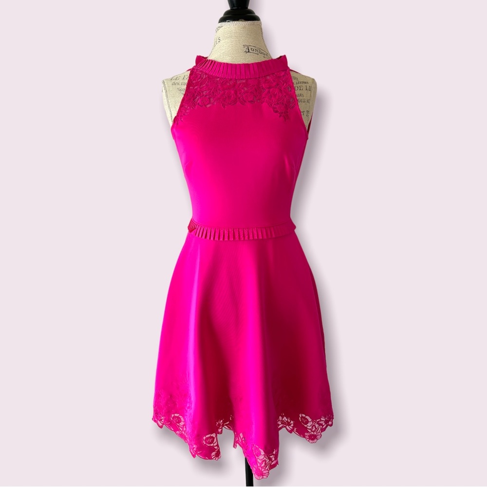 Ted Baker Pink Sleeveless Lace Zaffron Dress 0